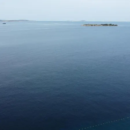 Biba * Tribunj (Sibenik-Knin)
